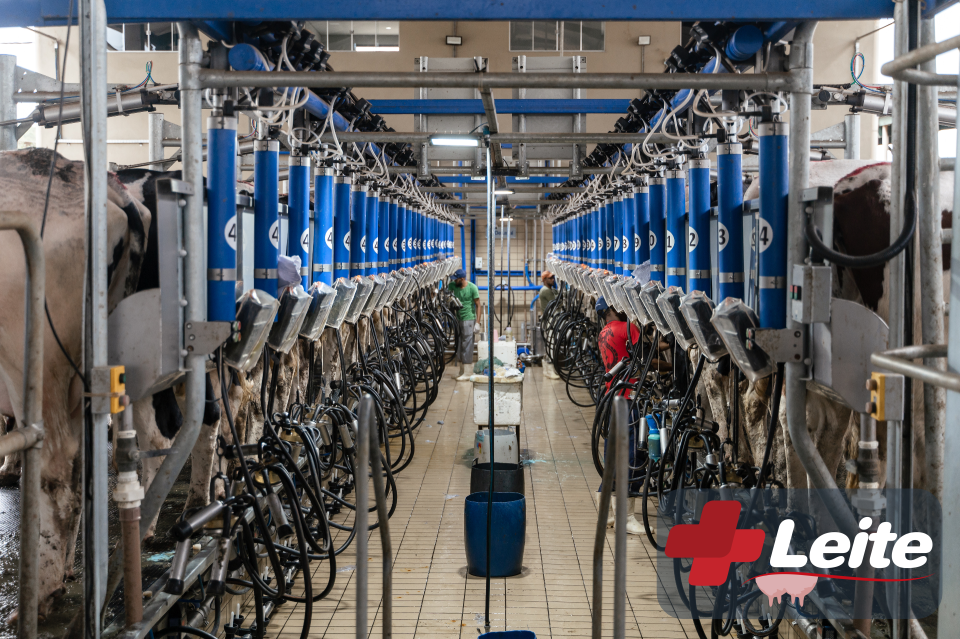 Ordenha automatizada