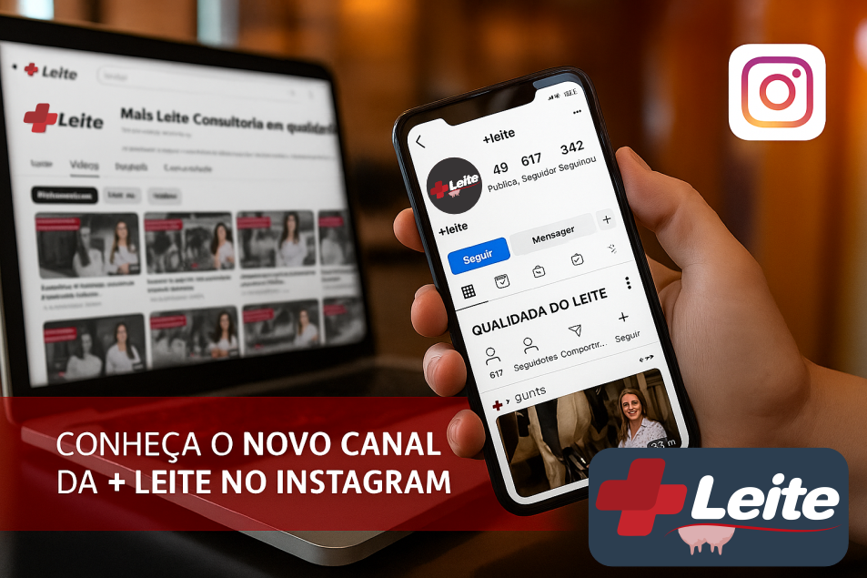 Canal do Instagram Mais Leite